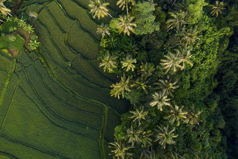 Discover Bali & Komodo Island - mytripology