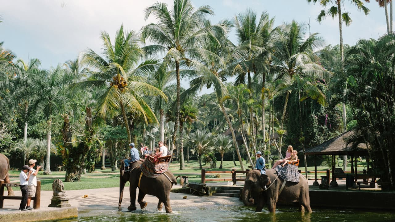 Bathe with Elephants