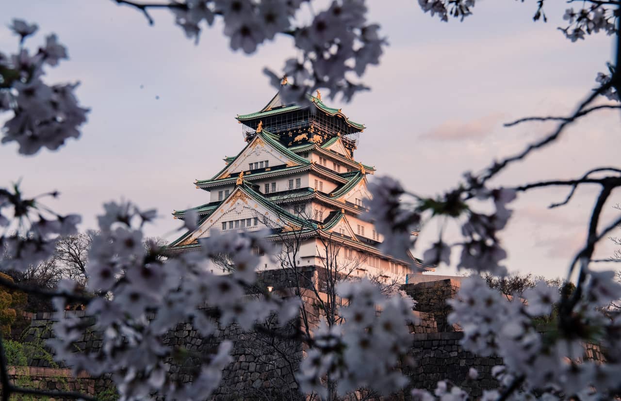 Osaka Castle with Cherry Blossom