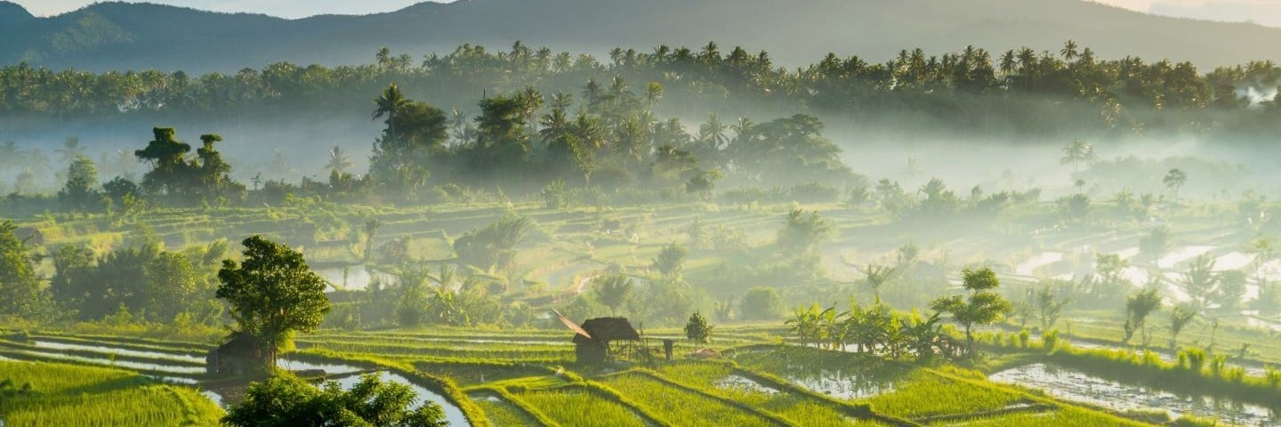 The Best Time to Travel to Bali: Balancing Weather, Crowds, and Budget
