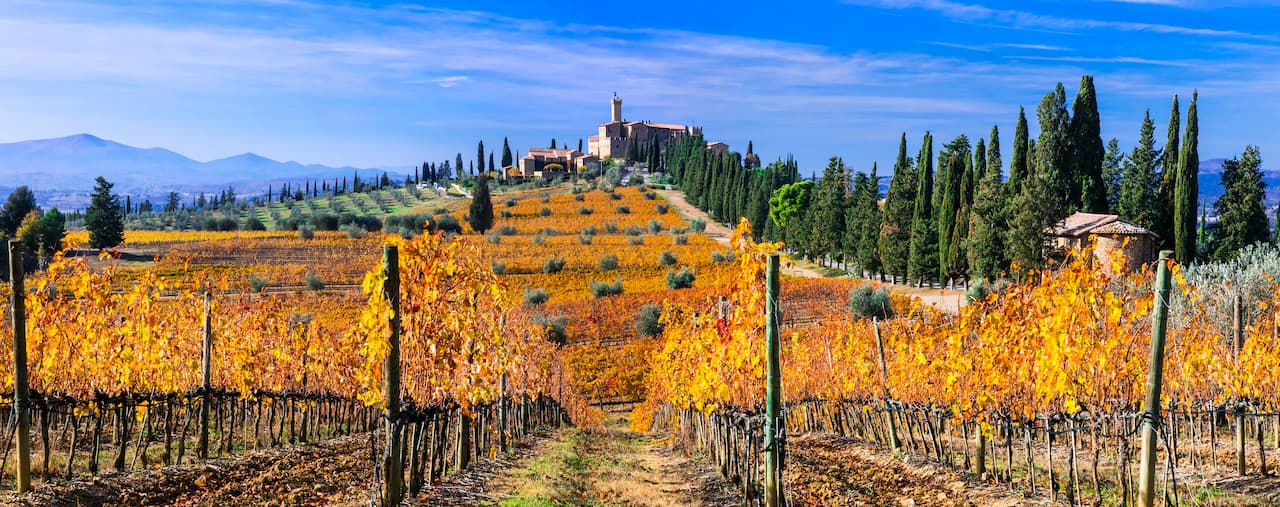 Winery and Castello di Banfi
